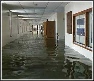 Hollywood Restoration Company Hollywood, FL 954-406-9821 Hollywood Restoration Company Hollywood, FL 954-406-9821