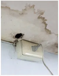 Hollywood Restoration Company Hollywood, FL 954-406-9821 Hollywood Restoration Company Hollywood, FL 954-406-9821