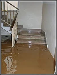 Hollywood Restoration Company Hollywood, FL 954-406-9821 Hollywood Restoration Company Hollywood, FL 954-406-9821