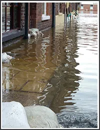 Hollywood Restoration Company Hollywood, FL 954-406-9821 Hollywood Restoration Company Hollywood, FL 954-406-9821