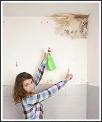 Hollywood Restoration Company Hollywood, FL 954-406-9821 Hollywood Restoration Company Hollywood, FL 954-406-9821