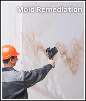 Hollywood Restoration Company Hollywood, FL 954-406-9821 - services